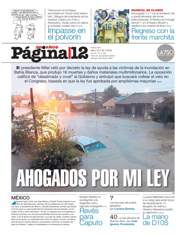 Página 12